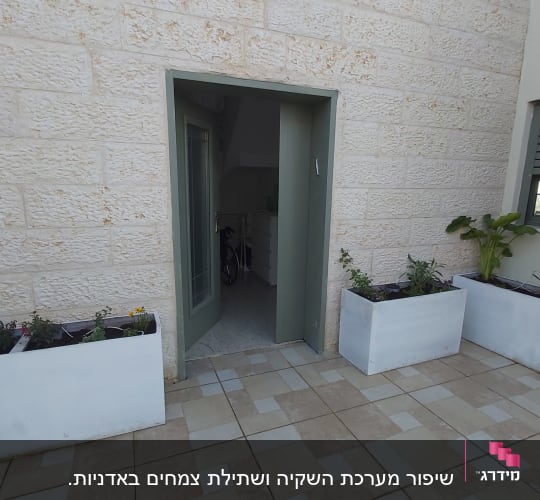 עציצים לבנים עם צמחים ירוקים ופרחים קטנים